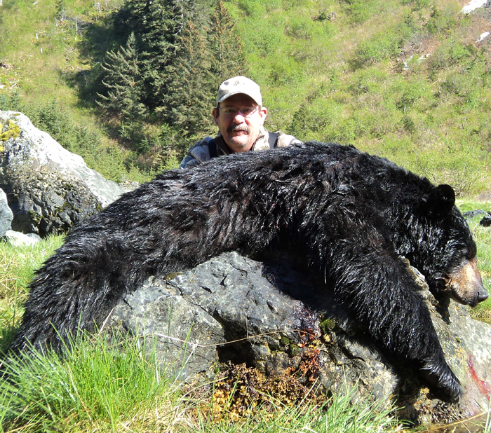 Alaska Black Bear Hunting - Guided Alaska Black Bear Hunts in Alaska
